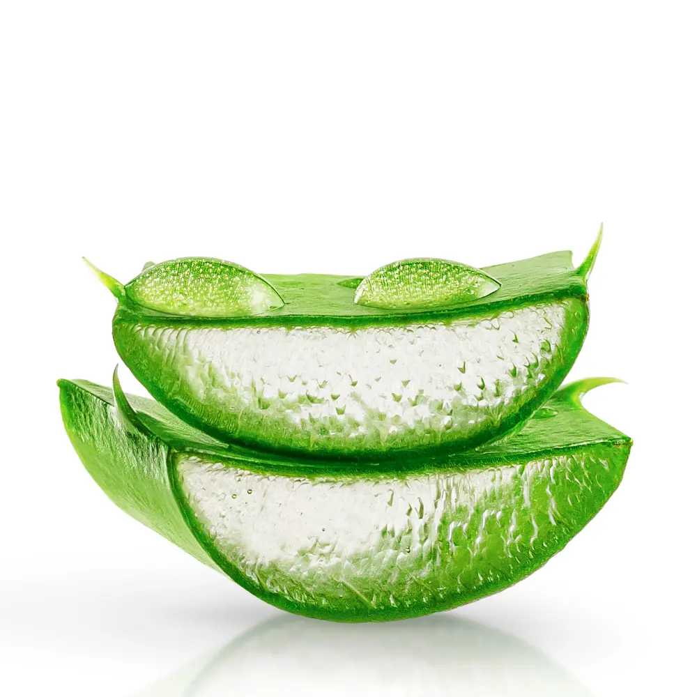 Trozos de Aloe Vera